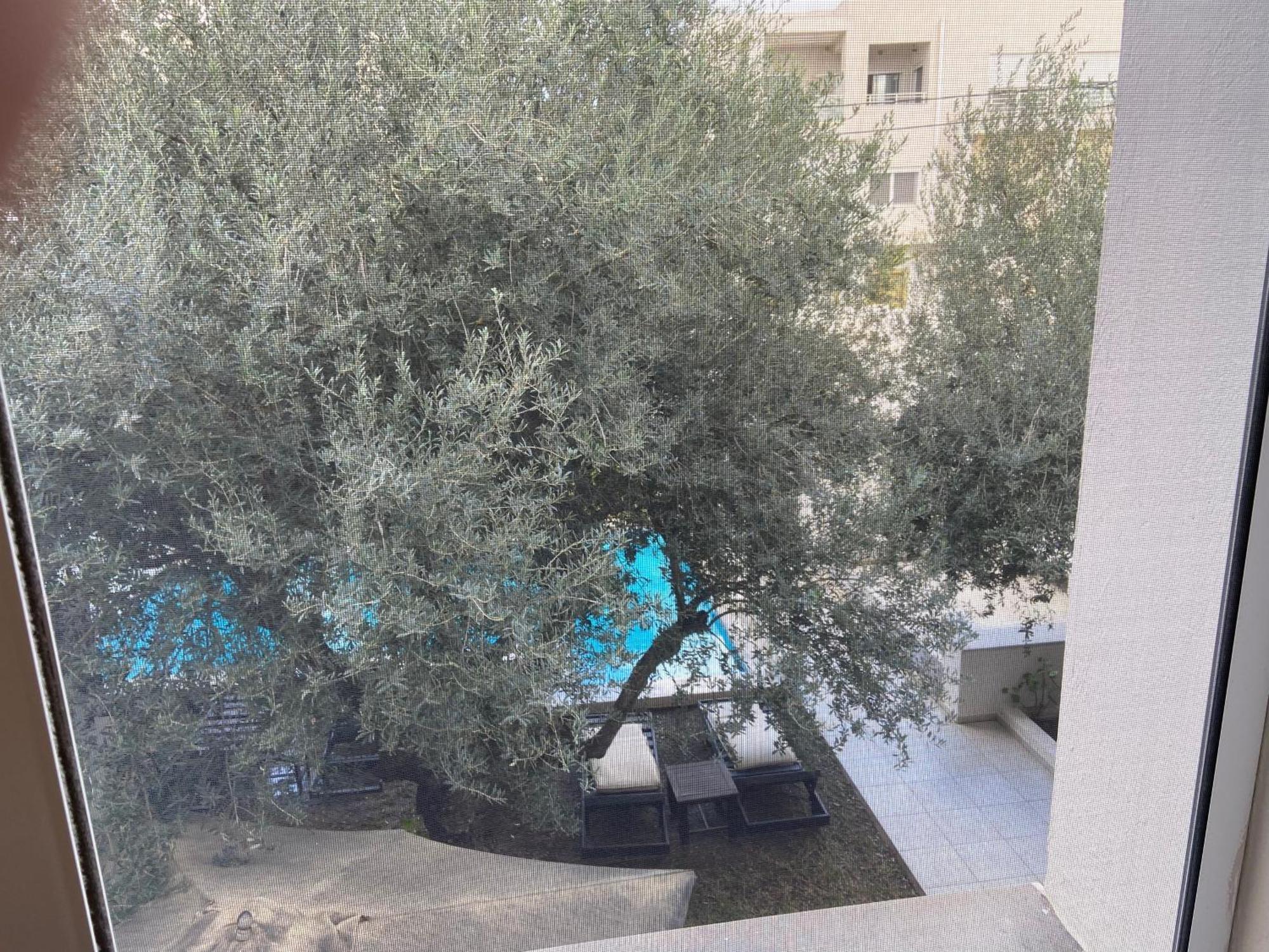 Dar Misk Otel Sukrah Dış mekan fotoğraf
